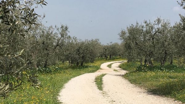 Le chemin d'Assise en Italie