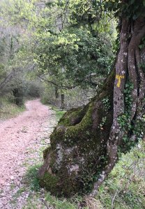 Balisage du chemin d'Assise en Italie