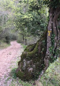 Balisage du chemin d'Assise en Italie