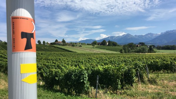 Vignobles près de Montmelian