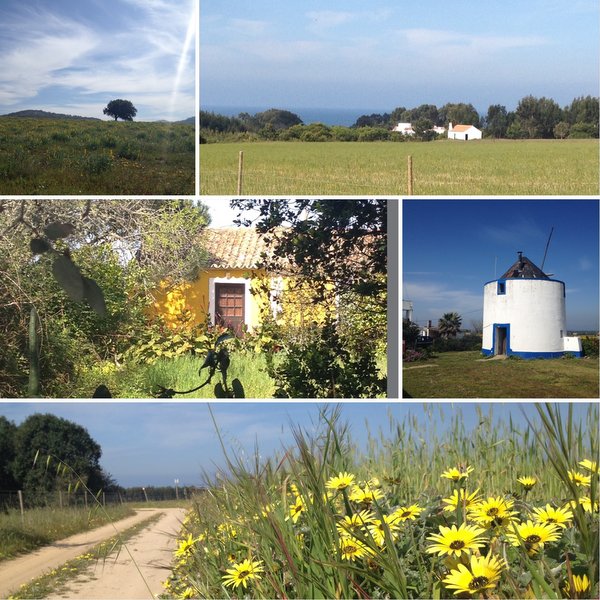 Rota Vicentina