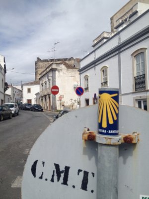 Coquilles à Tavira