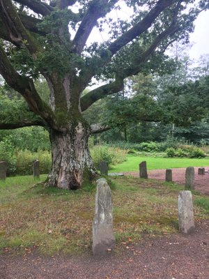 Cercle de dolmens