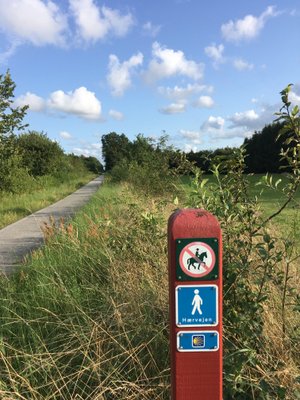 Chemin de Saint Jacques au Danemark