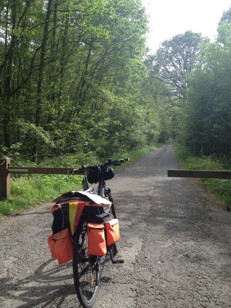 Forêt de Rambouillet