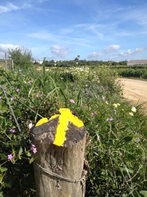 Flèche jaune entre Tavira et Castro Marim sur l'Ecovia du littoral