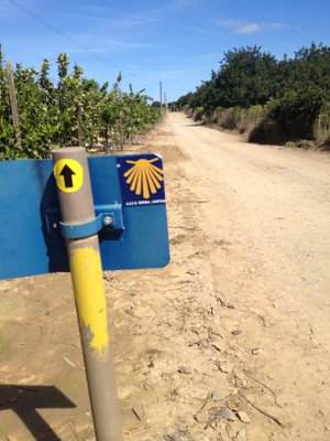 Autocollant du chemin de Tavira