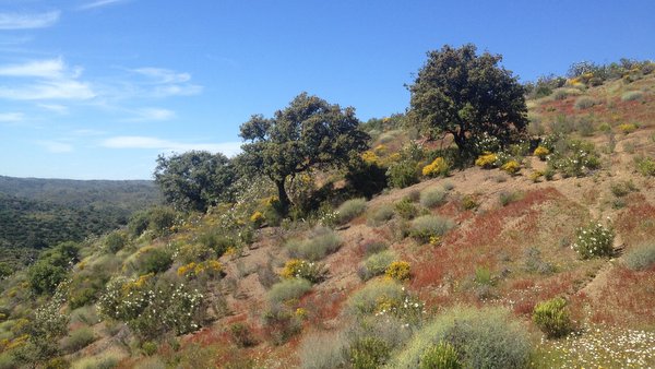 L'arrière-pays d'Algarve