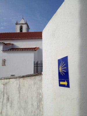 Coquille à Salir, près de l'église Matriz