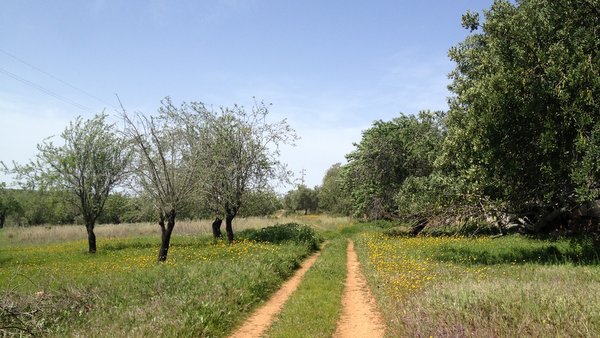 Vallée agricole (barrancol) sur la Via Algarviana