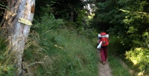 Femme seule sur le chemin de Saint Jacques