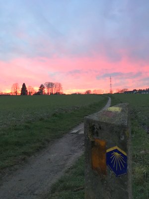 Les variantes à ne pas manquer sur le Camino Frances