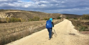 Camino Francés en hiver