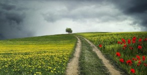 Le confinement, ce drôle de chemin